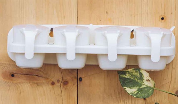  Chilli Spice Rack Product Supplier